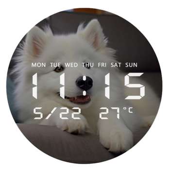 promotion-categories